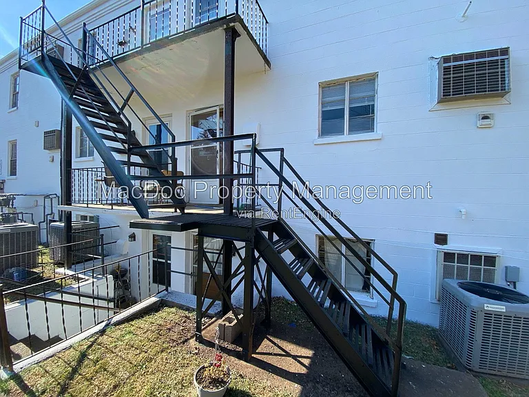 423 Hill St #3 — Photo 19