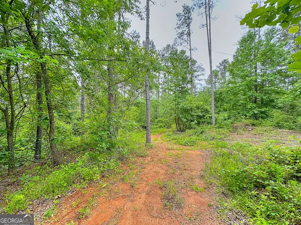 0 Rollin Mill Rd #6, Franklin, GA 30217