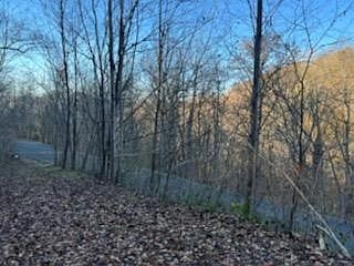 3rd image of 0 Lakeview Dr #81-83