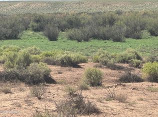 Lot 445 Carrizo Ranch -- #445, St Johns, AZ 85936