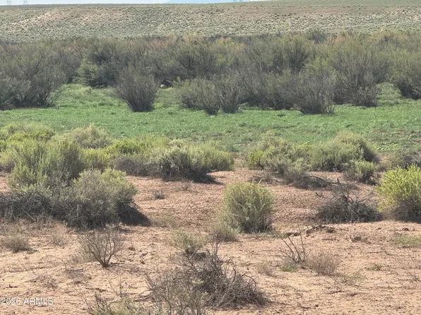 Lot 445 Carrizo Ranch -- #445, St Johns, AZ 85936
