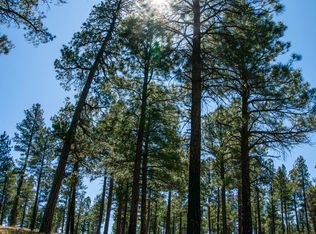 7770 Forest Service 122 Rd. Tract 6 -- #6A, Happy Jack, AZ 86024