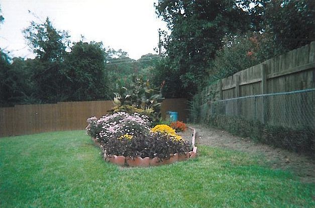 2nd image of 2818 Palomino Dr