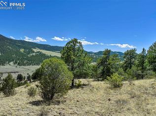 87 Wagon Wheel Rd, Guffey, CO 80820