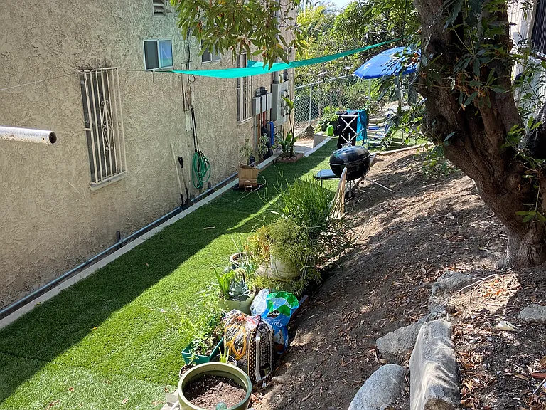 Backyard shared area_1