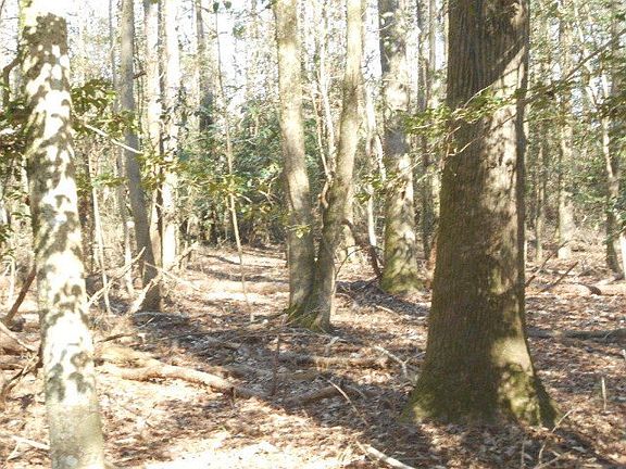 3rd image of 0 Pollard Road