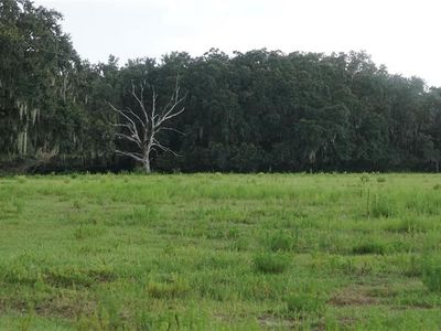 DURANT RD, Dover, FL, 33527