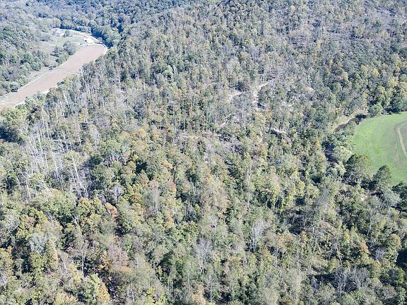 5th image of LOT 1 Brooks Rd