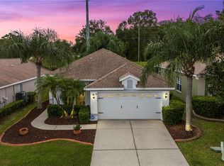 3009 Banyan Hill Ln, Land O Lakes, FL 34639