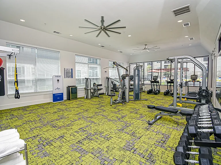 Aspire at Live Oak — Photo 30