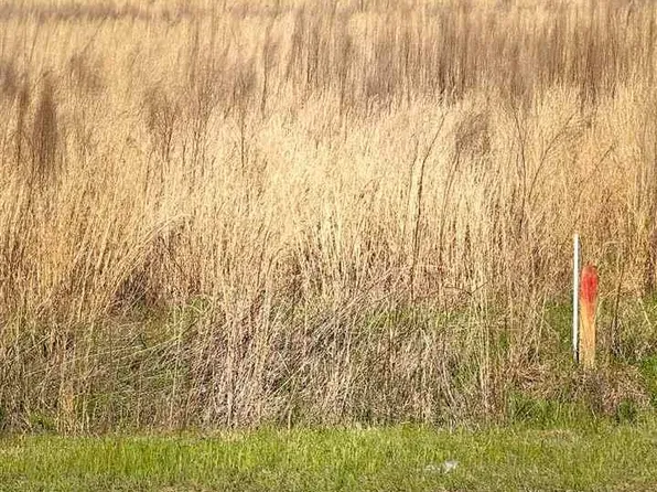 0 Springvale Rd Lot 9, Bishopville, SC 29010