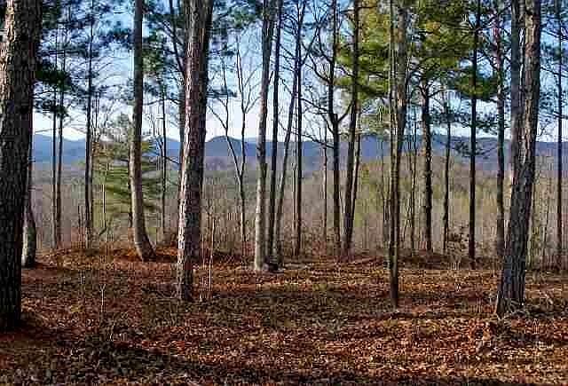 1st image of 151 Eastatoe Pkwy