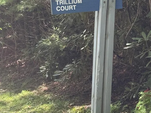 0 Trillium Ct #37, Sapphire, NC 28774