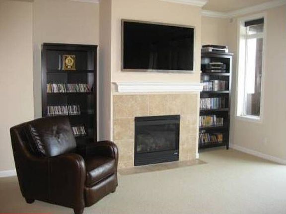 Living room fireplace