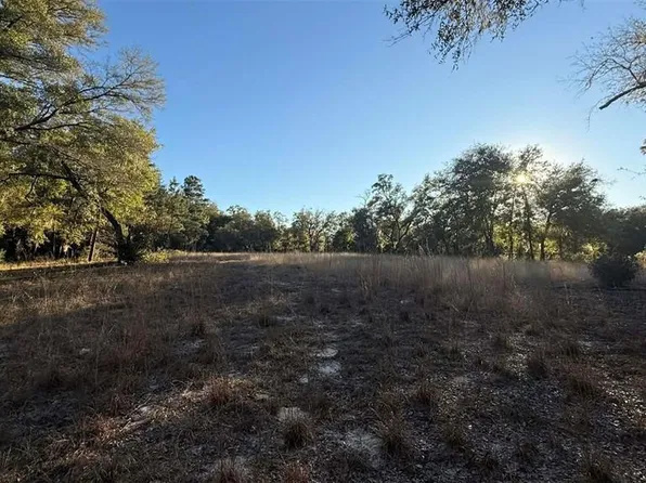 NE 40th St, Williston, FL 32696