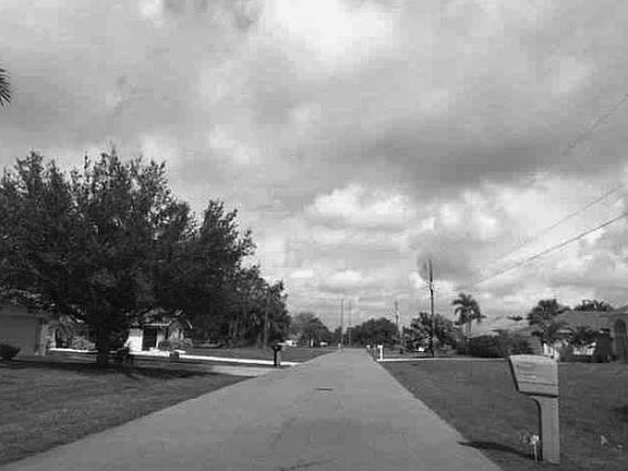 Exterior Neighborhood (street photo)