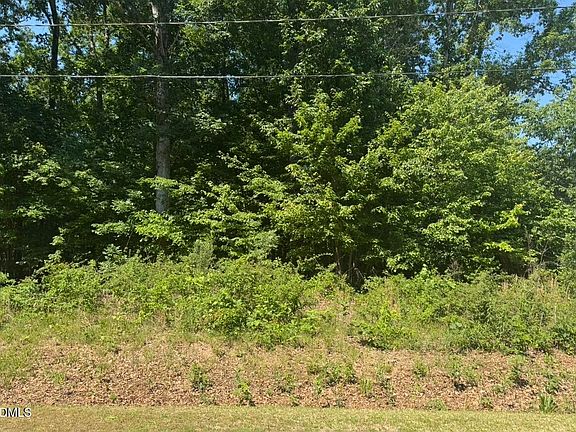 2nd image of 0 Wagoner Ln