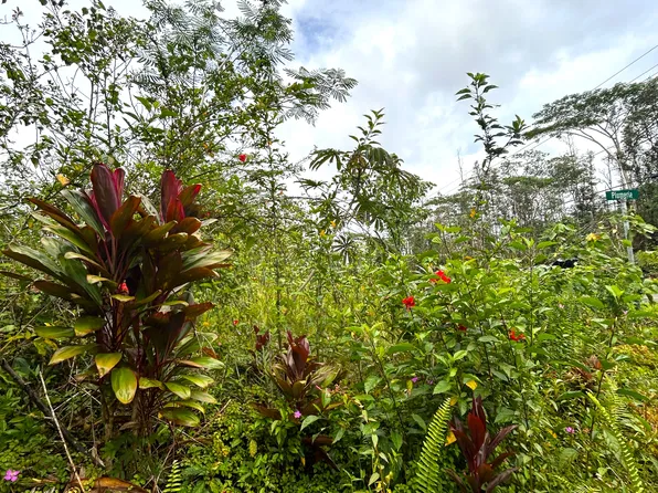 Plumeria Rd Lot 156, Pahoa, HI 96778