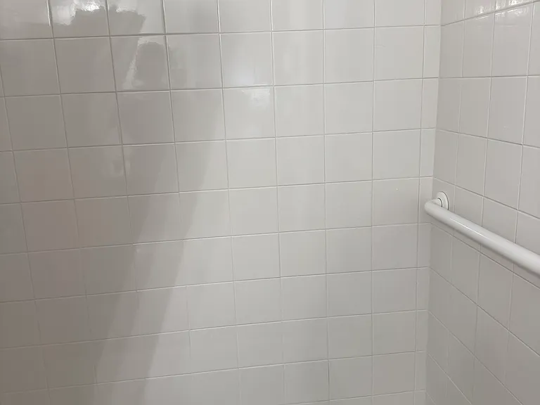 Walk-in shower in primary bath