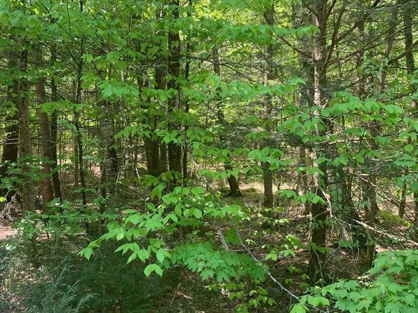 000 Gibson Mountain Road, Antrim, NH 03440