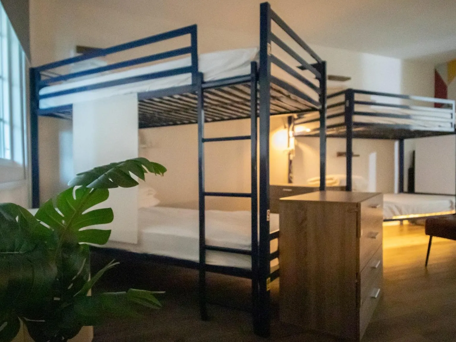 1 bed, 30000 sqft, $799 — Photo 4