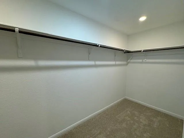 788 Papaya Dr — Photo 18