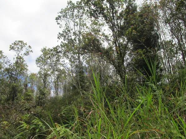 9th Avenue Kalaunu Lot 918, Keaau, HI 96749