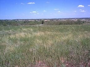 2nd image of 18111 195th St Lot 59