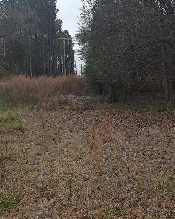2nd image of 4211 Dixon Rd