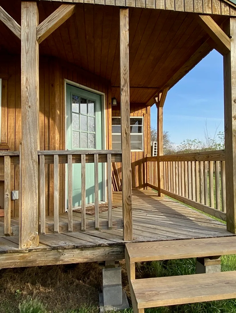 1 bed, $1,100 — Photo 1