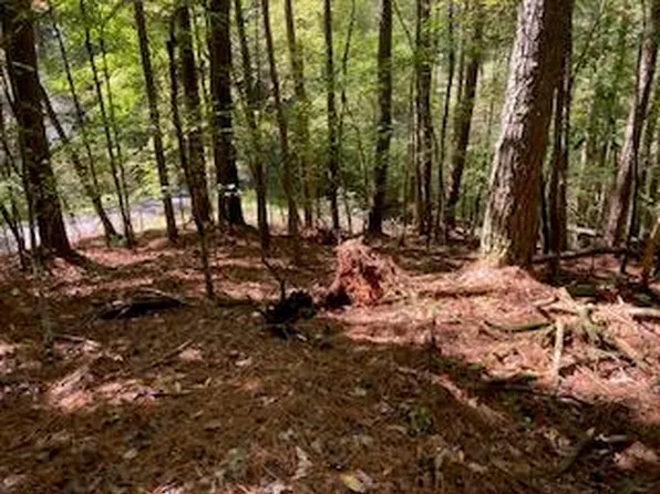 LOT 278 Guidon Ct, Ellijay, GA 30540