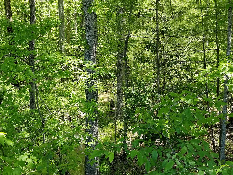 2nd image of Ped Rd