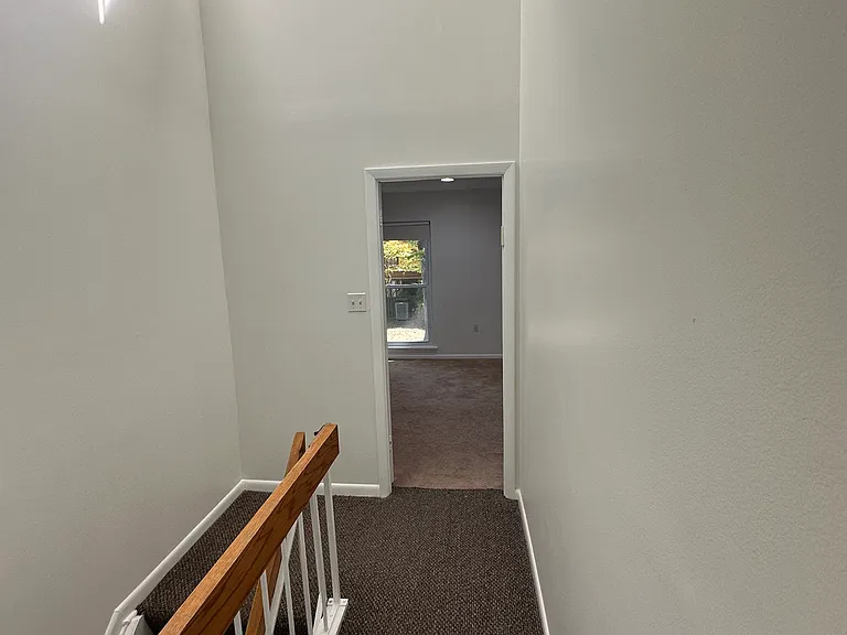 6307 Red Cedar Pl — Photo 38