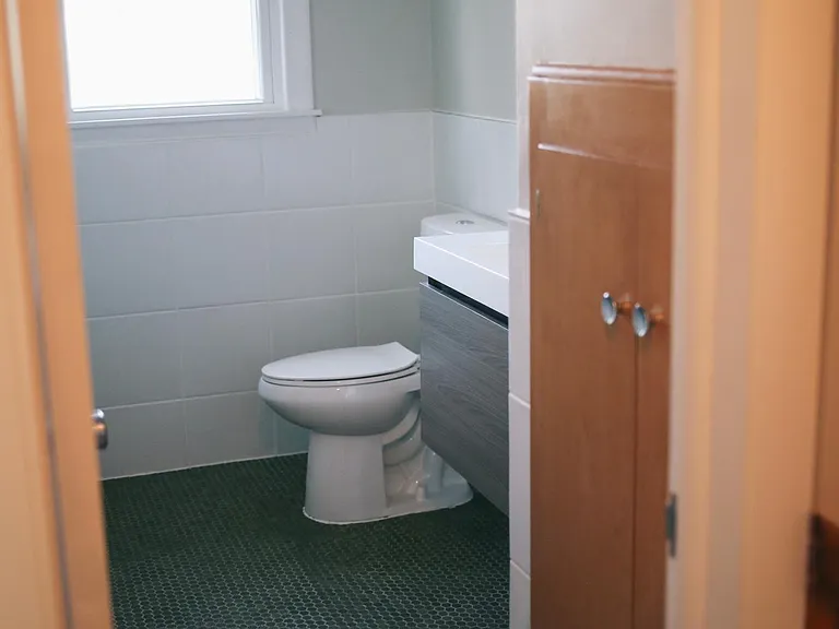 Downstairs 3/4 bath, gorgeous floor tile is original to the house, updated vanity/toliet in 2019. Includes ample built in storage and a shower.