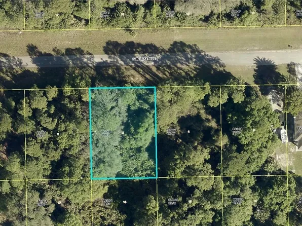 1234 Sunrise Blvd, Lehigh Acres, FL 33974