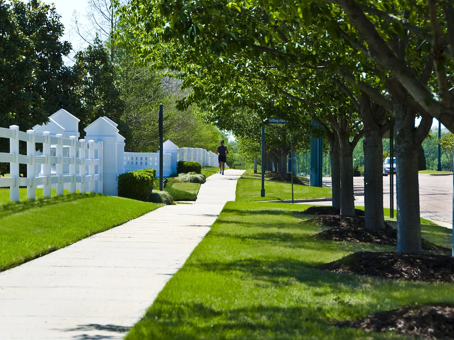 Carrington at Schilling Farms — Photo 4
