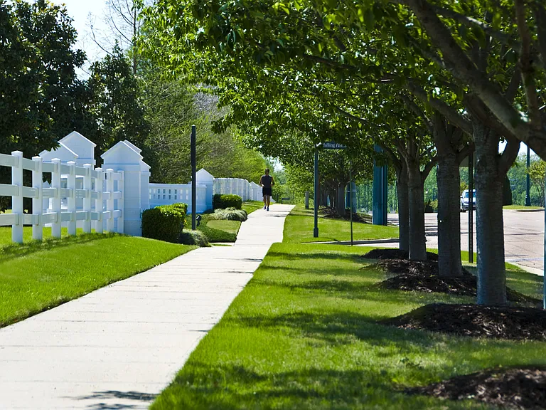 Carrington at Schilling Farms — Photo 4