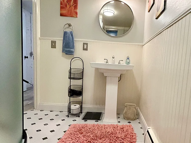 Downstairs shower and bathroom