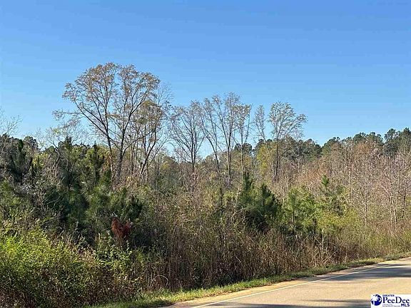 2nd image of Egypt Rd