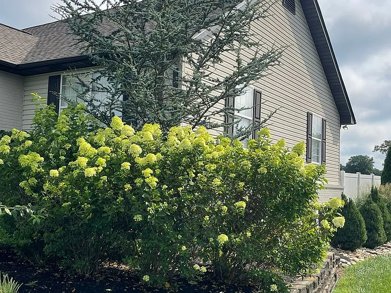 1944 Chelsea Jo Ln — Photo 39