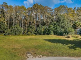 Fox Squirrel LOT 124, New Pt Richey, FL 34654