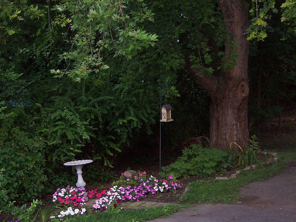 Side Garden
