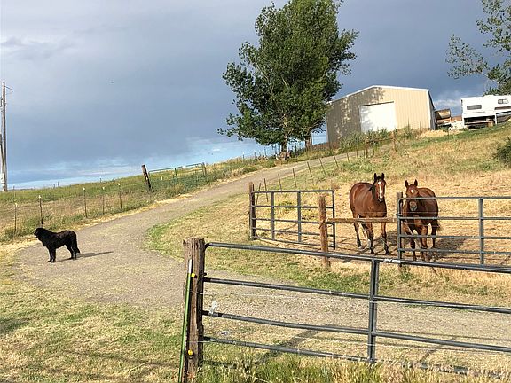 Driveway up to House & Shop