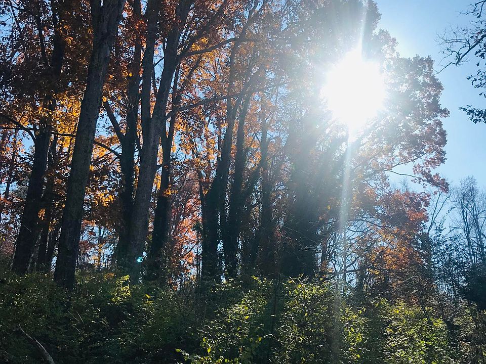 1st image of 2814 Wildwood Rd Lot 2