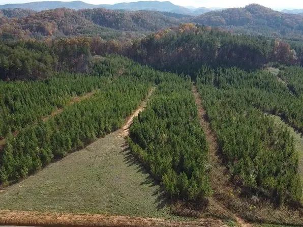 LOT 51 Three Point Rd, Madisonville, TN 37354