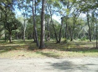 3 Murphy Creek, Edisto Island, SC 29438