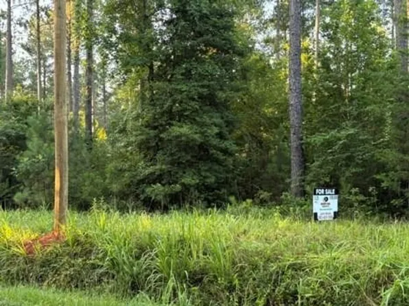S Side Of Wash Lever Rd E, Little Mountain, SC 29075