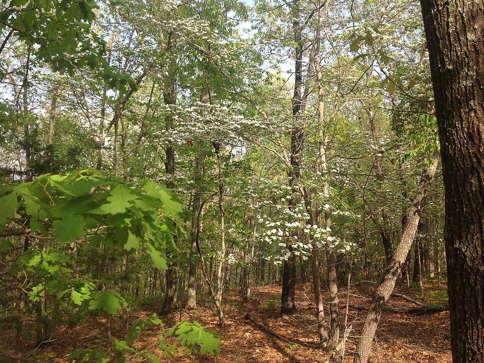 1st image of Forest Hills Ln #Lots