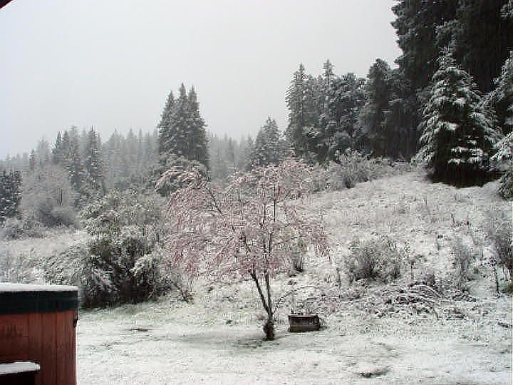 just enough snow to make it fun