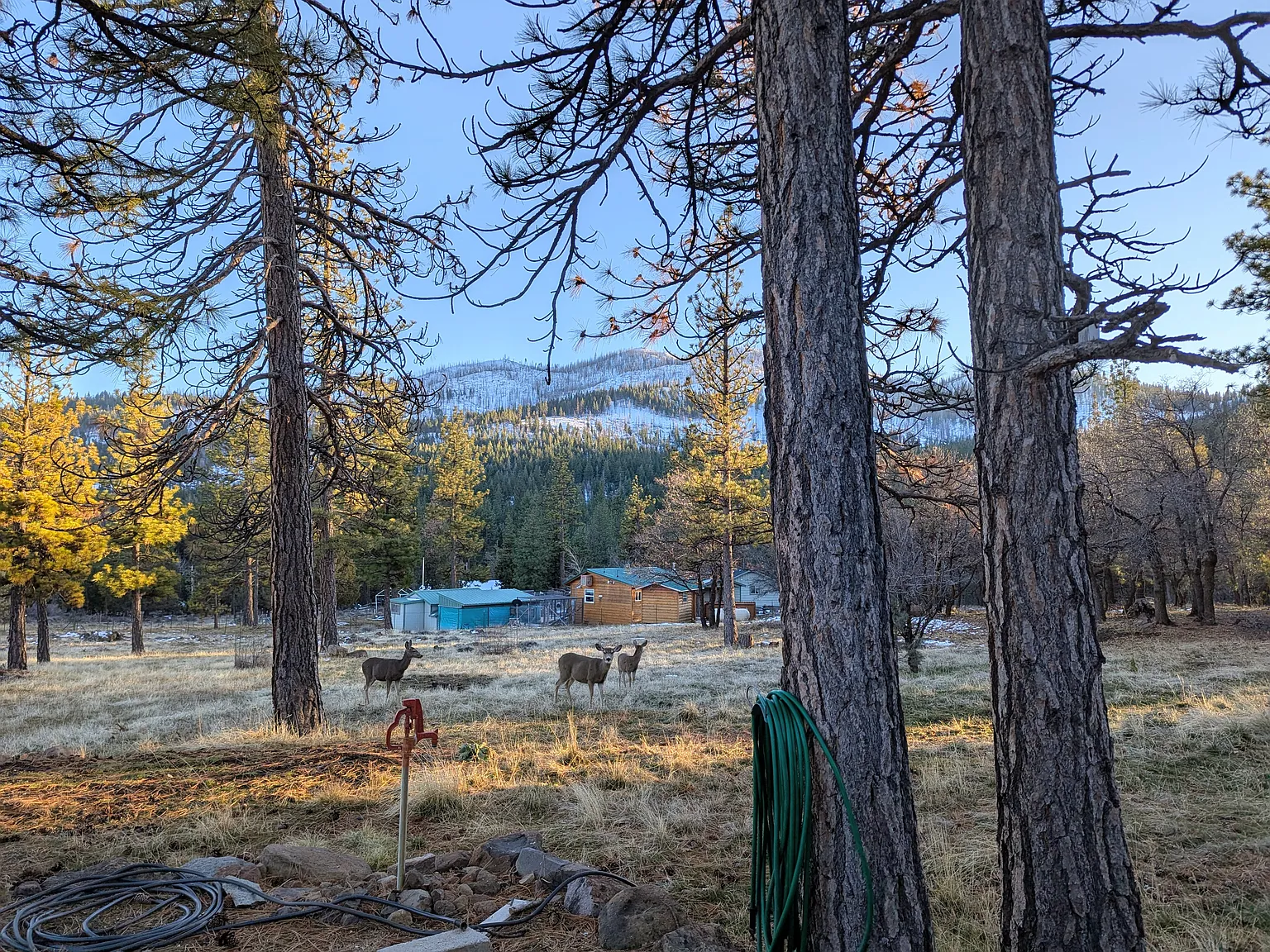 Gold Run Rd, Susanville — Photo 1